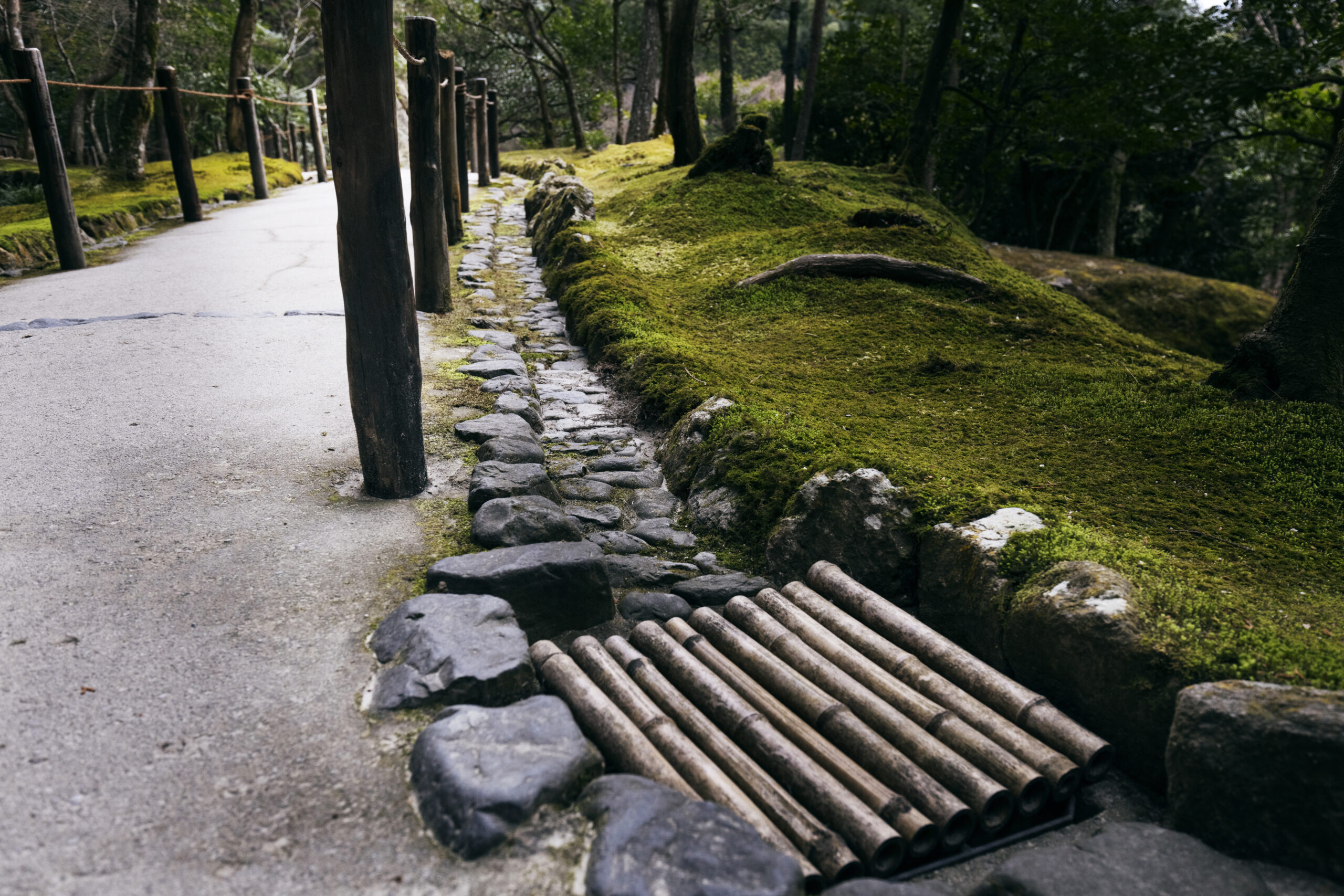 Pathway in a serene Japanese garden with stone borders, wooden posts, and a bamboo water feature, enhancing outdoor tranquility and design aesthetics.