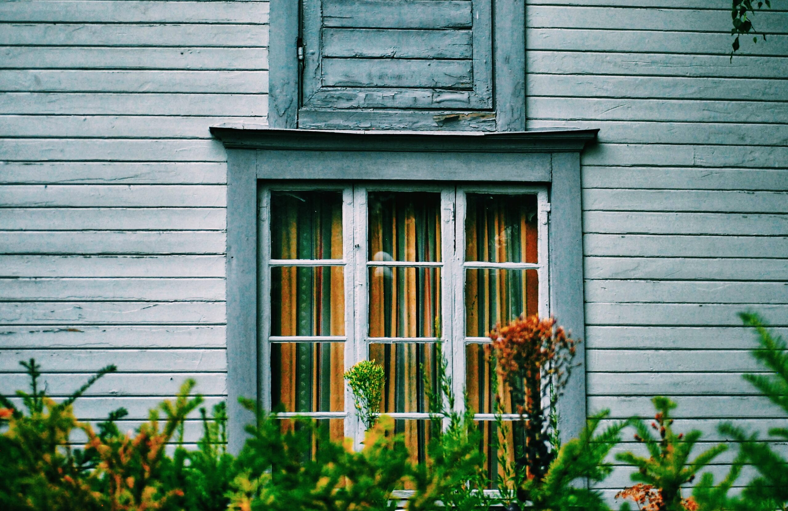 Pella Single-Hung Window with colorful curtains, framed by a gray wooden exterior and surrounded by green foliage, showcasing classic design and energy efficiency for home improvement.