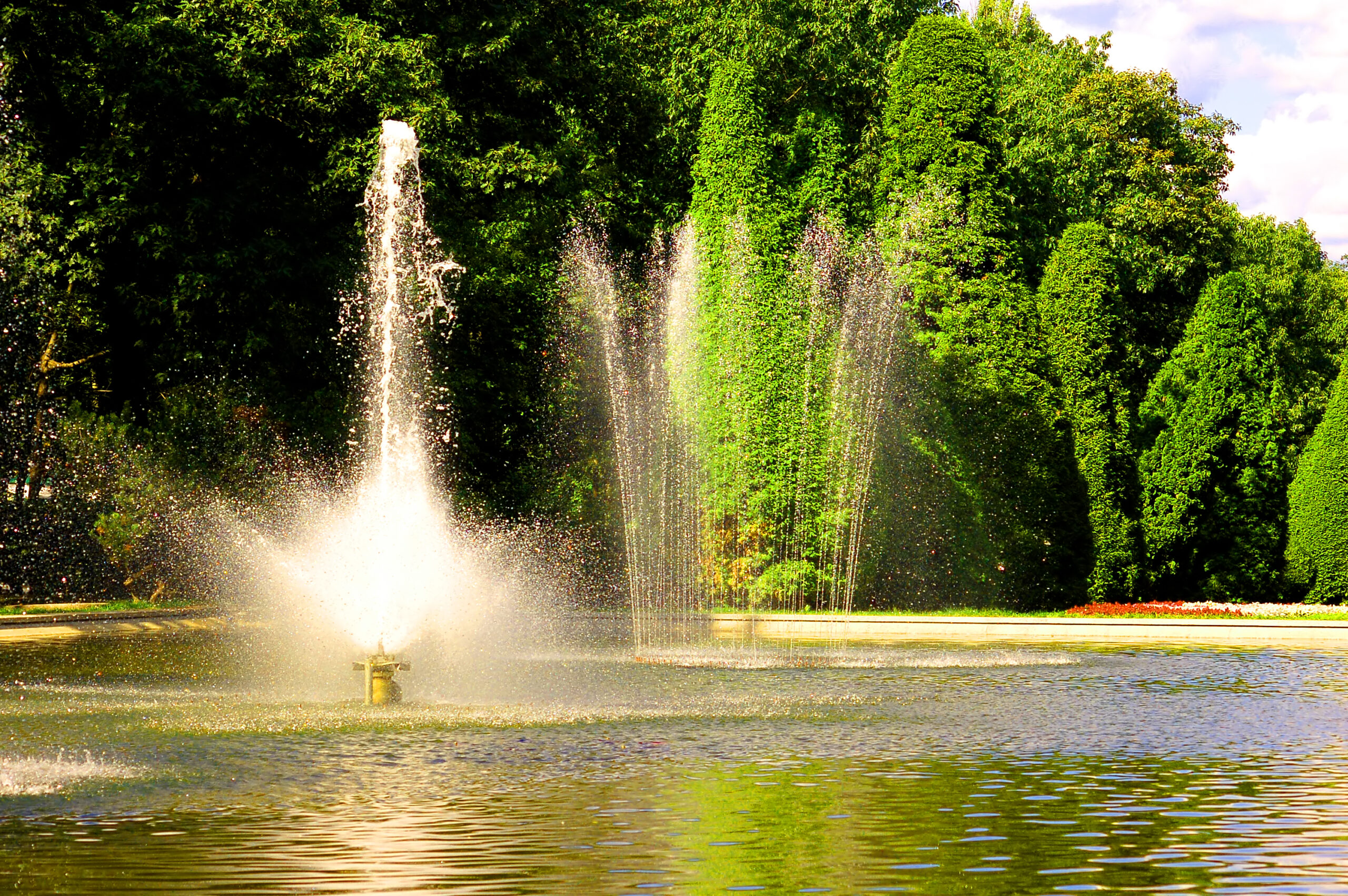 Fountain spraying water amidst lush greenery, showcasing a tranquil water feature ideal for enhancing outdoor spaces.