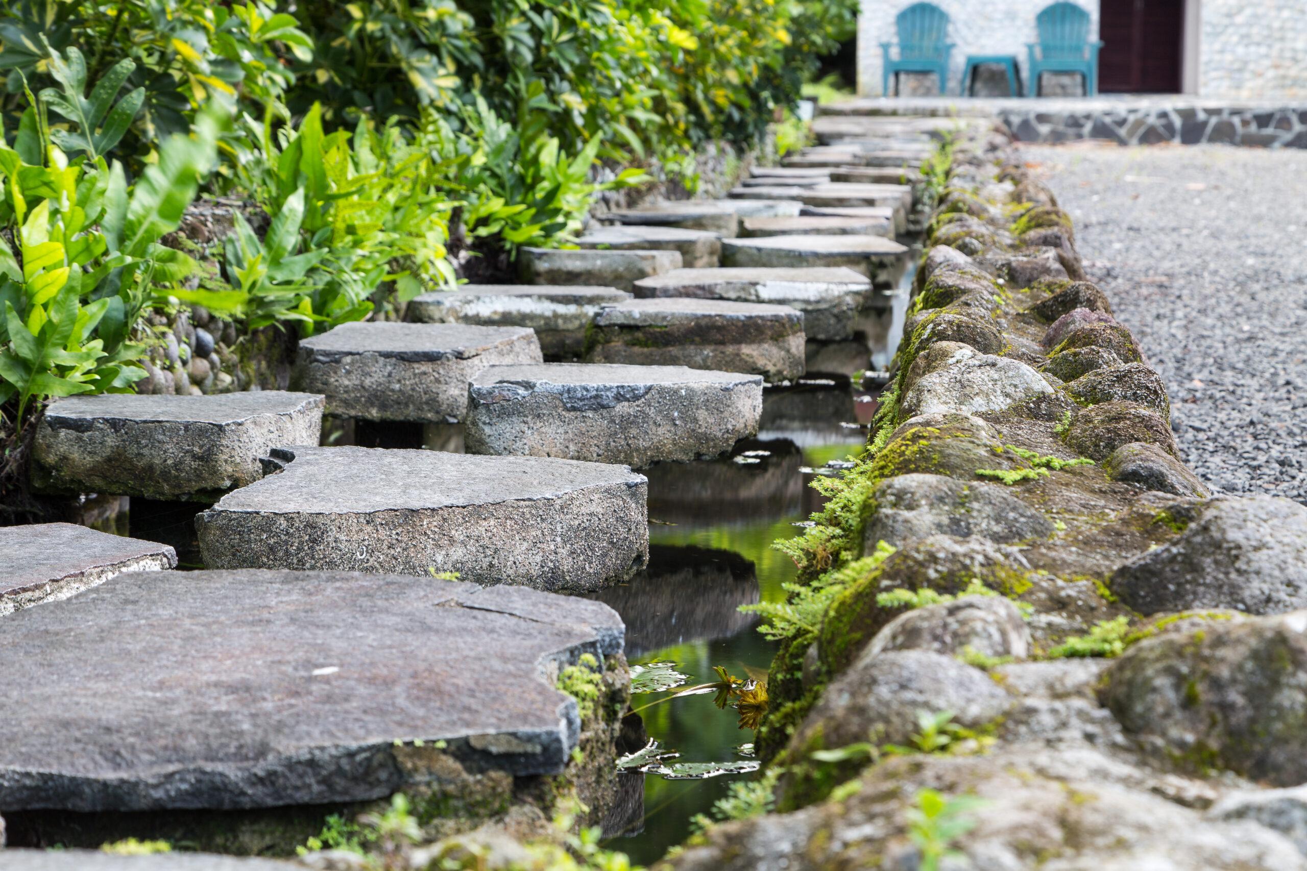 Stepping stones leading through lush greenery and water features, showcasing durable hardscaping design by Tekton Exteriors for enhanced outdoor aesthetics.